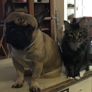 Meet your Posher, Rhonda